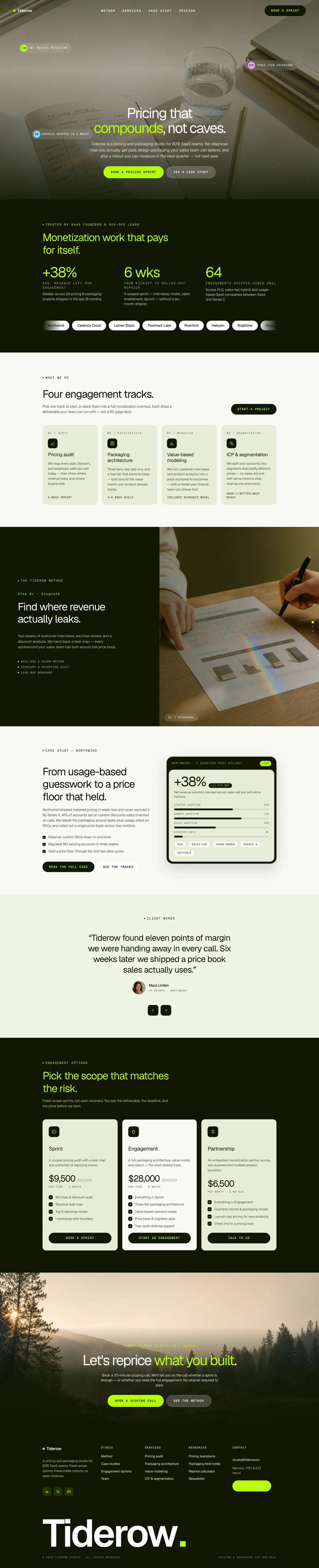 Sage Lime Geist Consulting preview